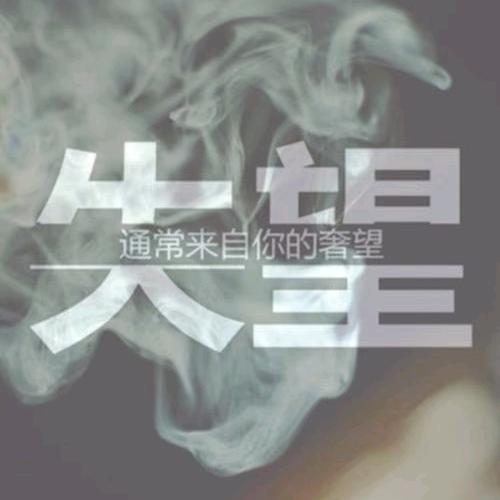 单身进哥