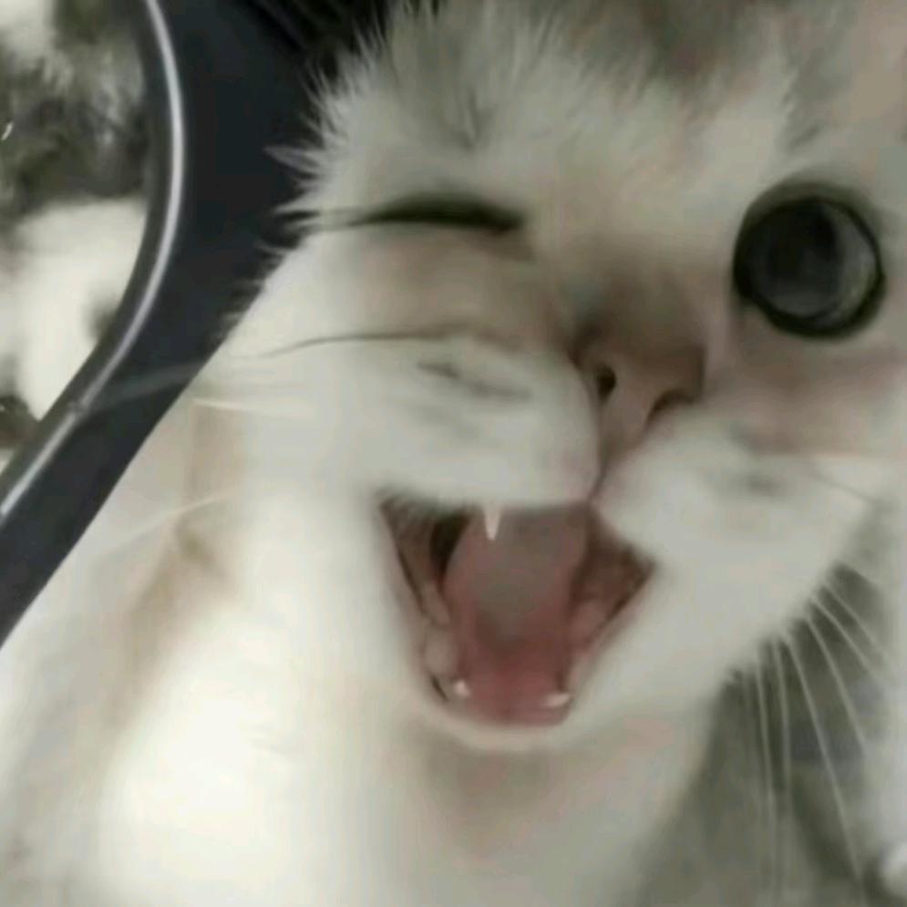思南丶