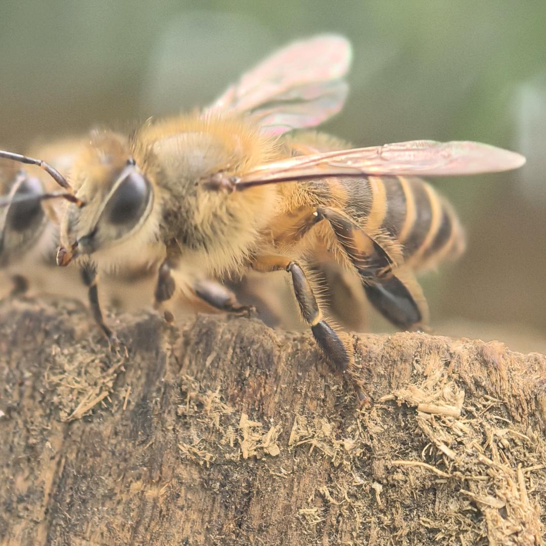 九弓户外（小九）