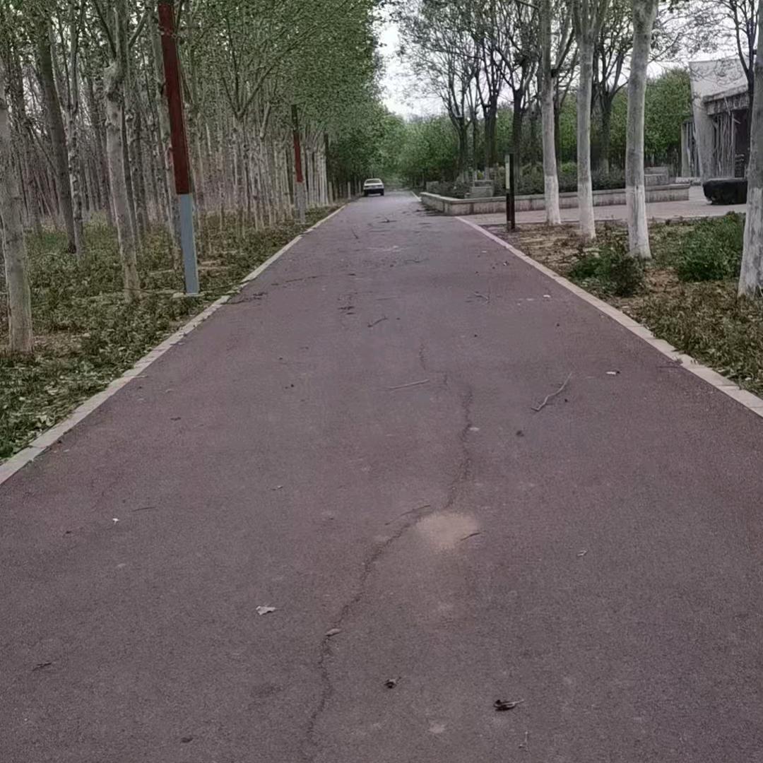 郭琪琪