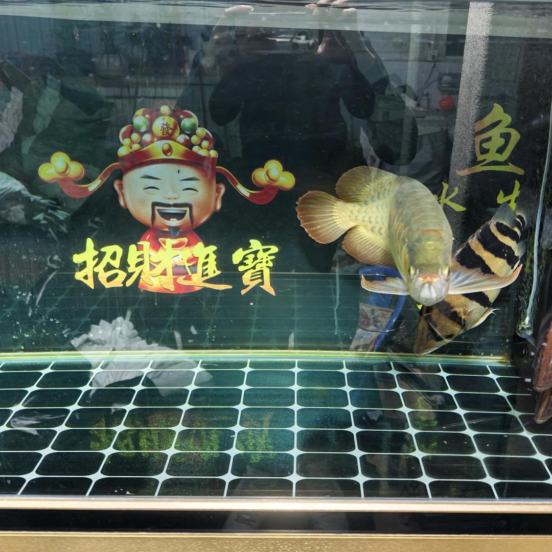 不断的攀登