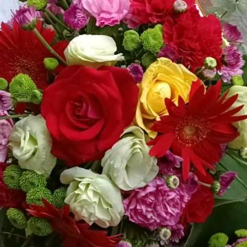 𰻝  𰻝  𰻝 𰻝