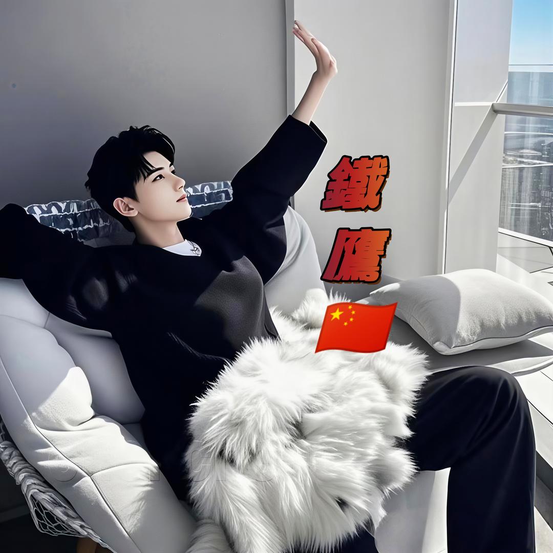 鐵鷹🦅教官🇨🇳