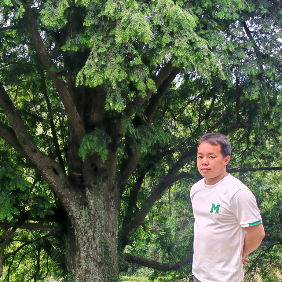 耶江 内外墙装饰