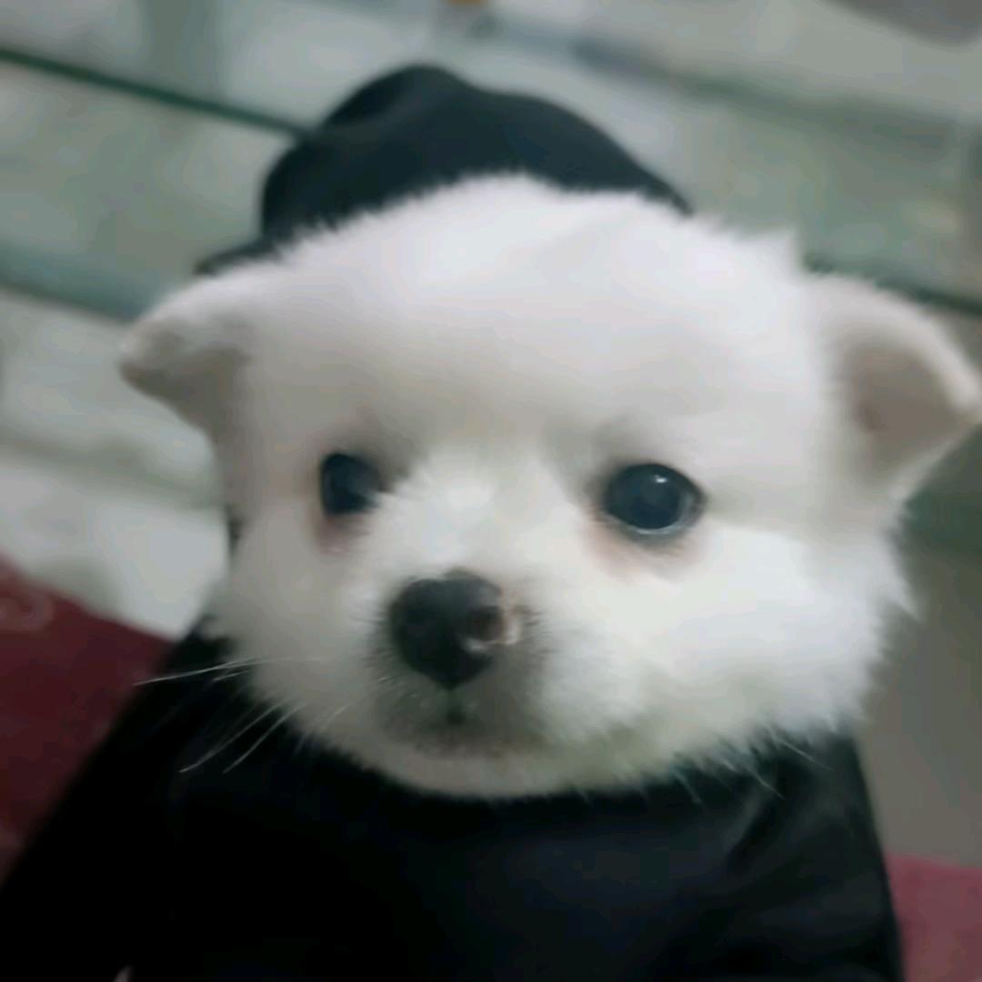 观众席