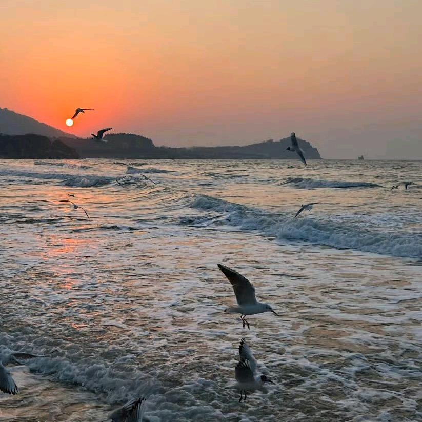 玩转全球（青岛行）