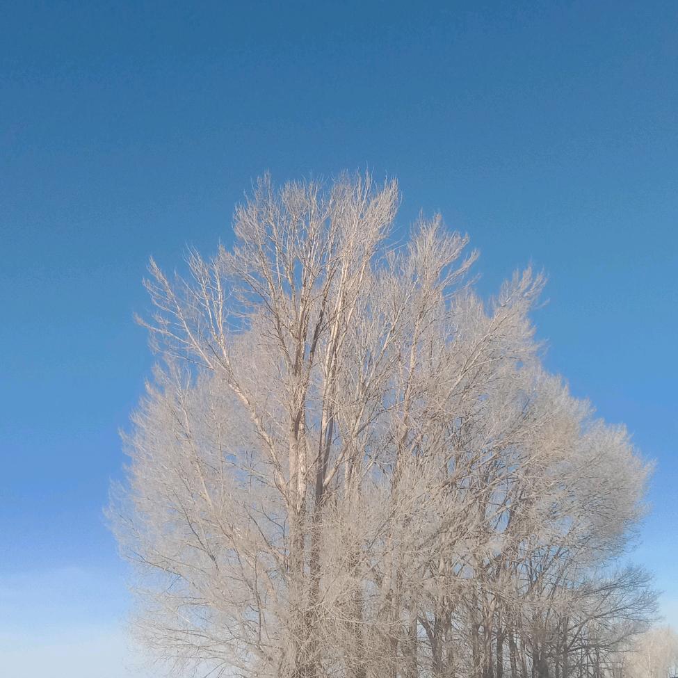 @大约在冬季…………