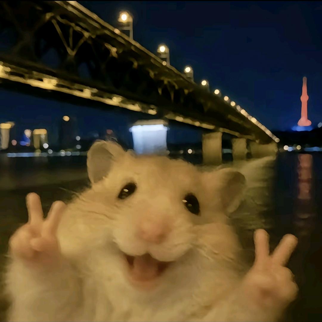 岁月