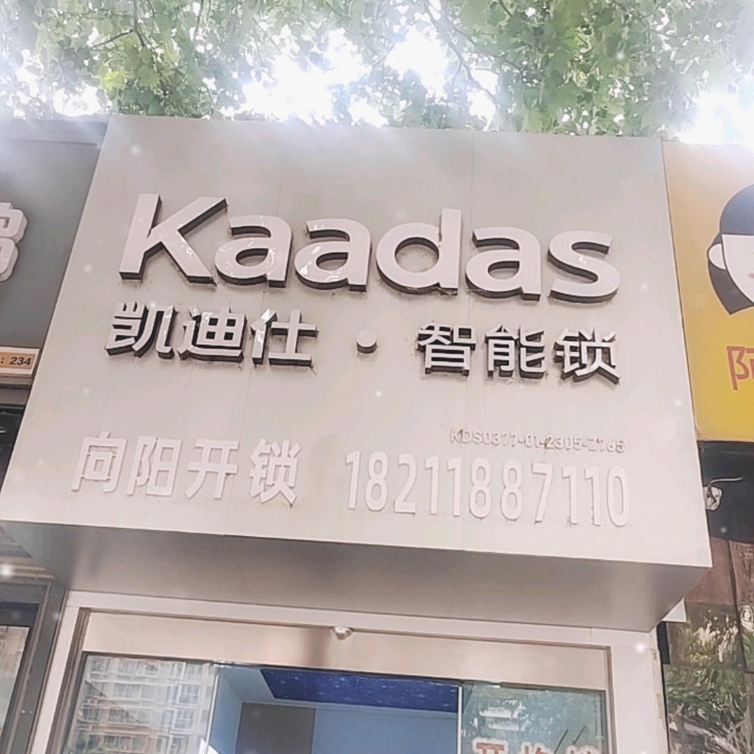 凯迪仕智能锁（玉龙苑店）