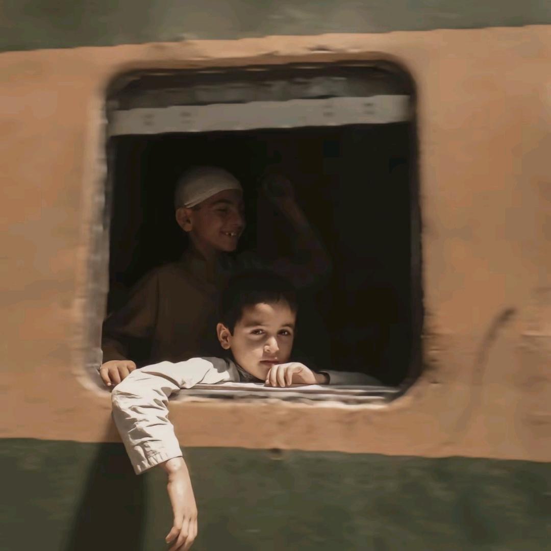 中教专升本-木子学长