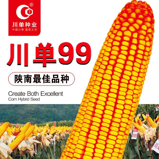 镇安县农资人金小吖