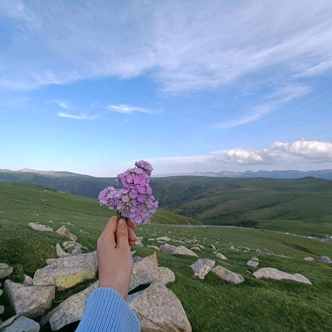 送你一束小红花