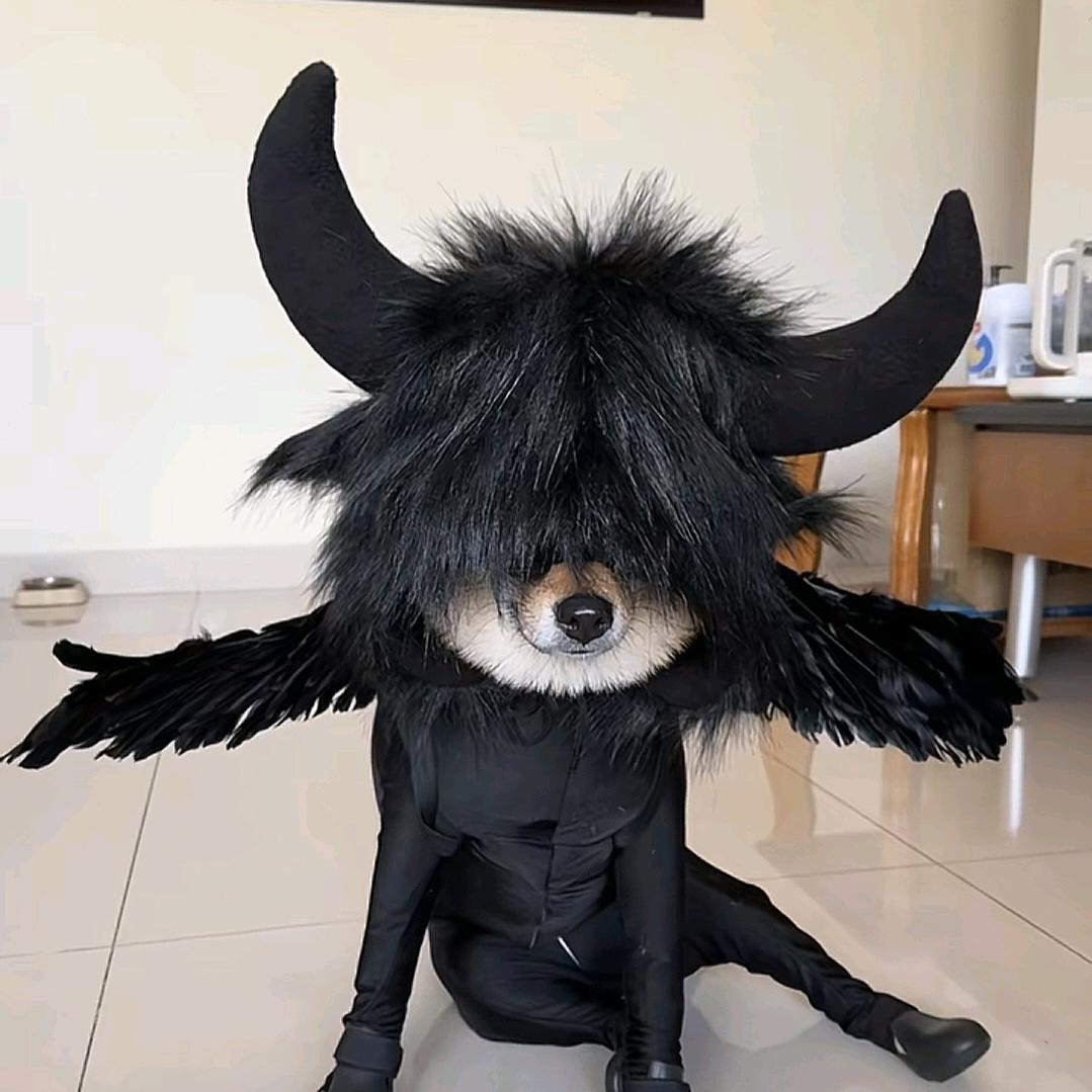 壮壮妈每天cos女仆going牛爷爷