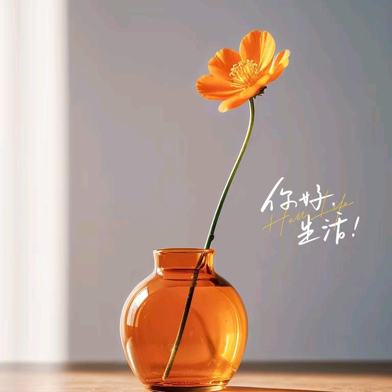 忆青春