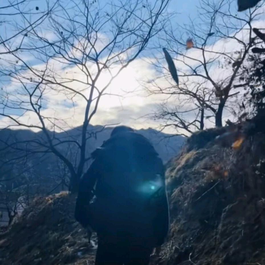 陈世美
