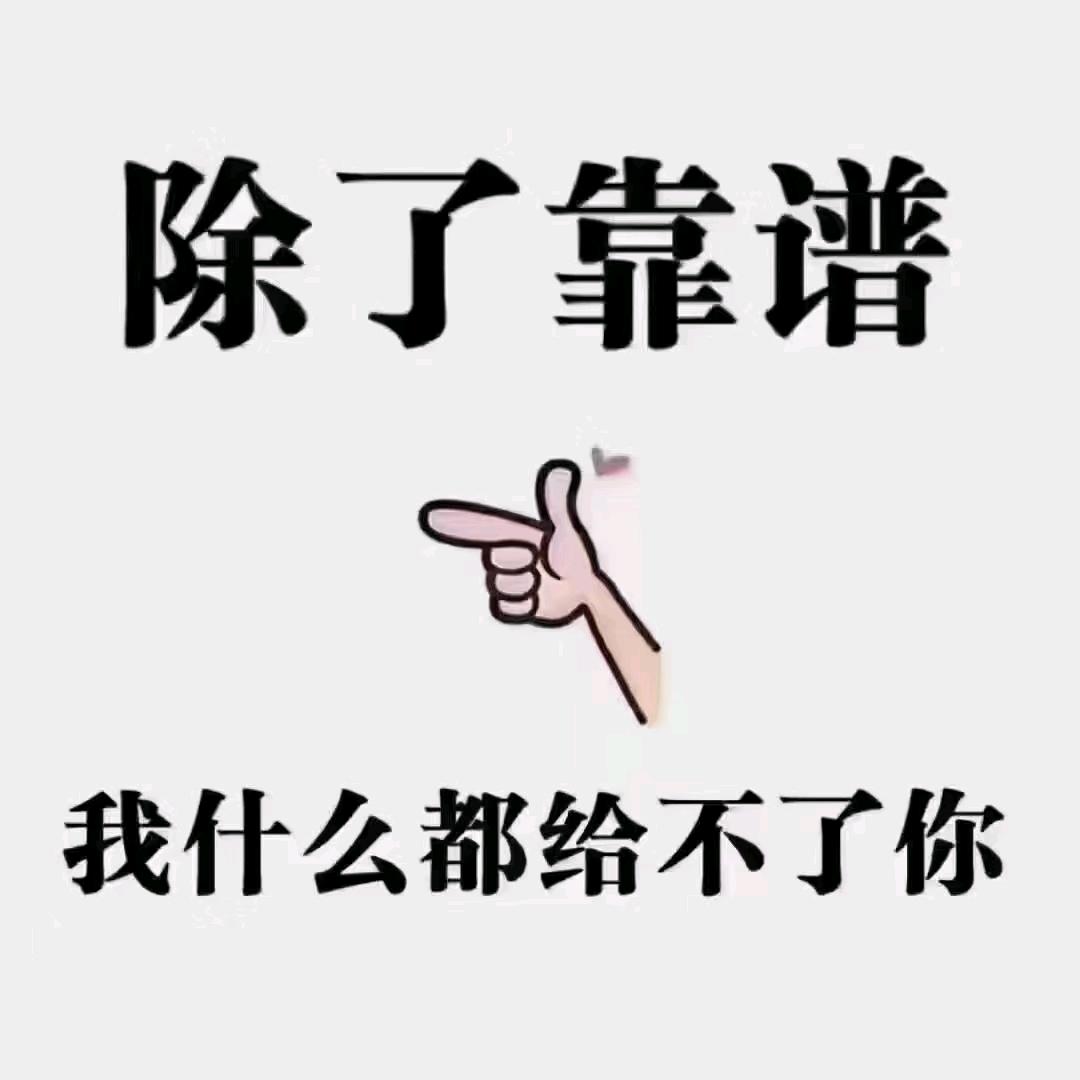 广水掌上明珠小马