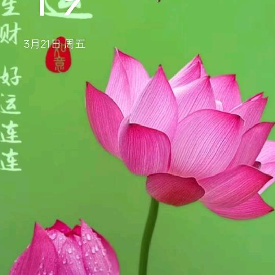 暖婷