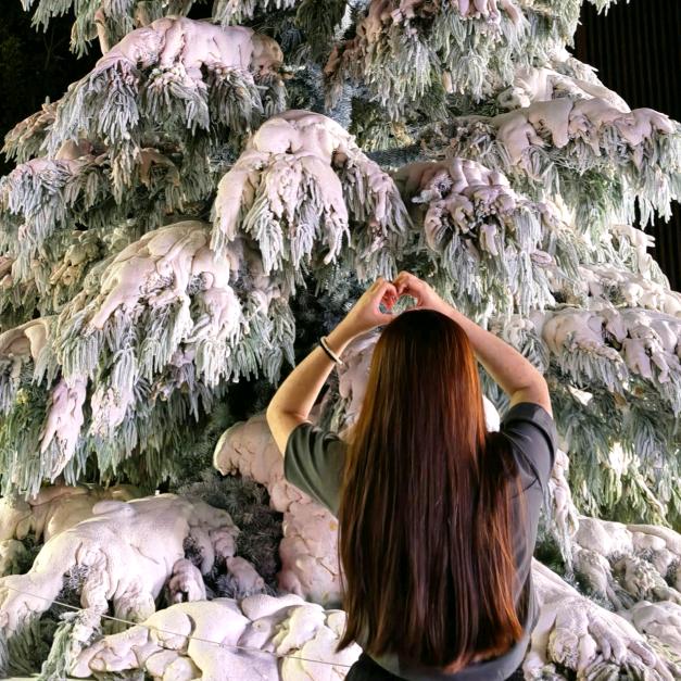 鲤鱼不是鱼><🥁ᶻ⚡🍍