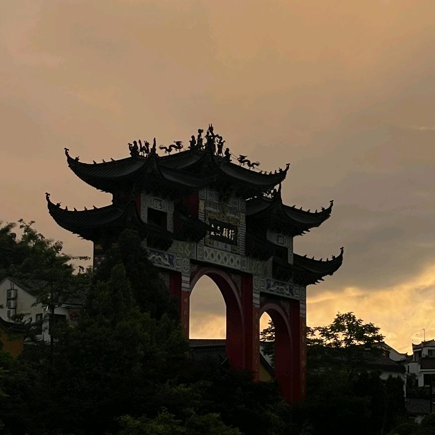 白鸽♠️