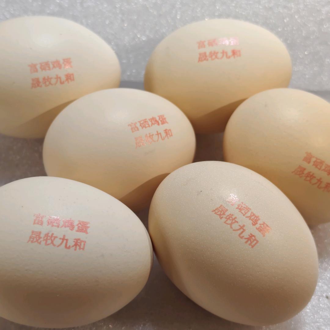 用户8370299731929