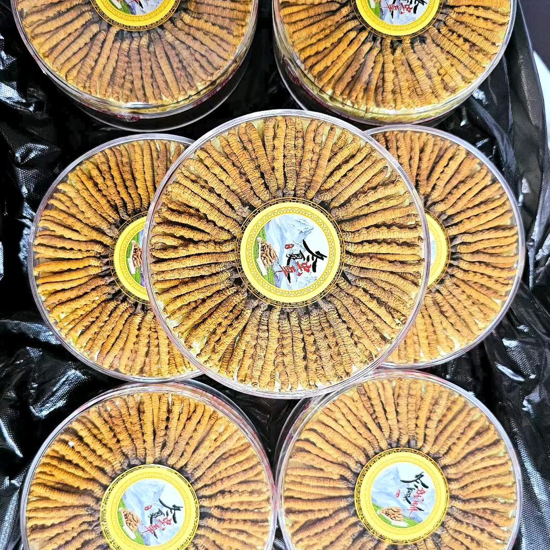 野生冬虫夏草电商直接批发
