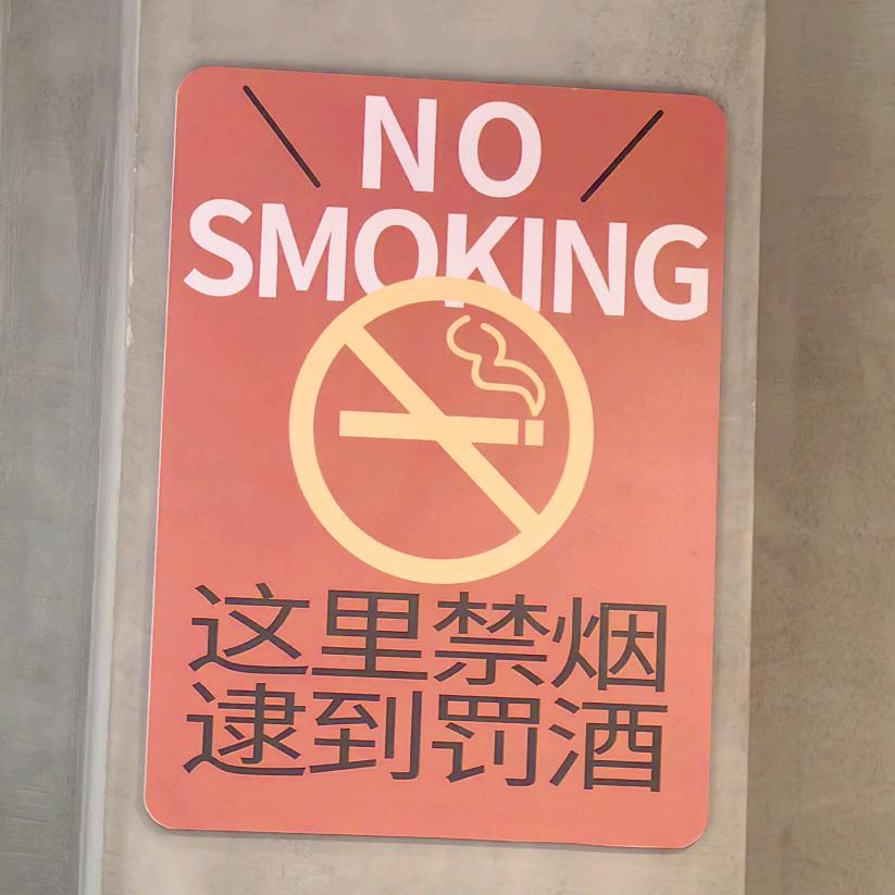 梦境的旅人