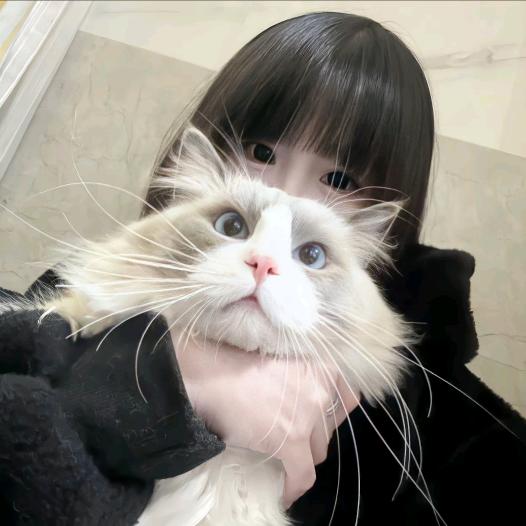 慢奏