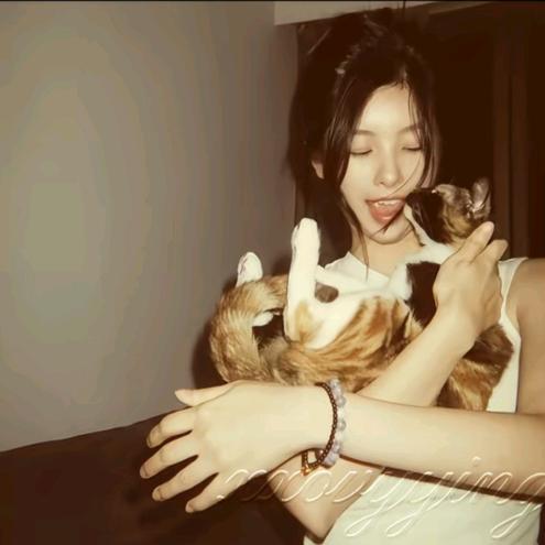 倔毛🐾