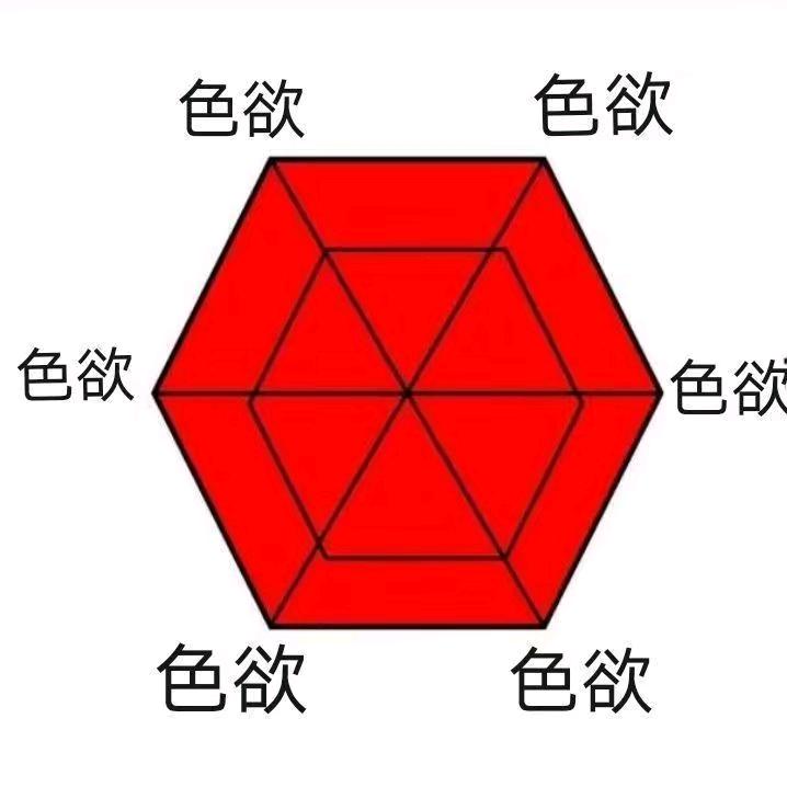 🌈六边形战士小白龙