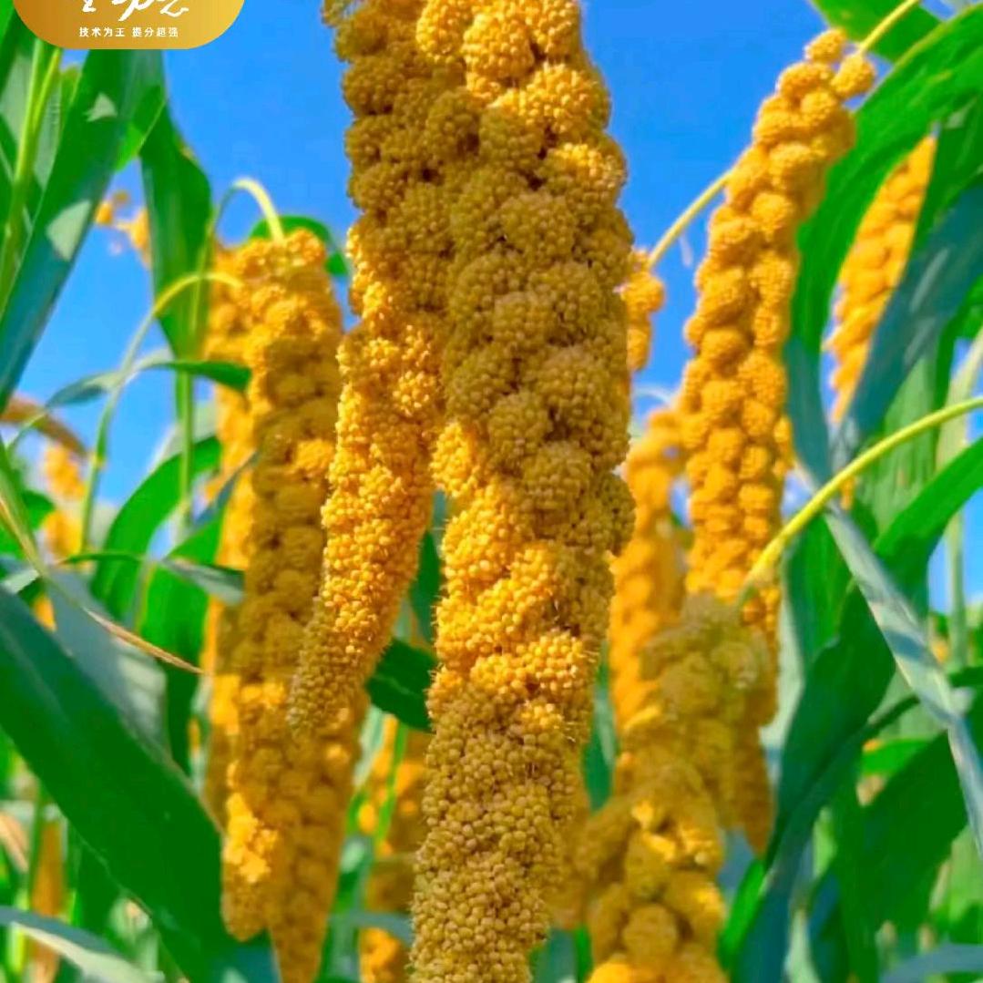 全动态【中高考技巧提分】