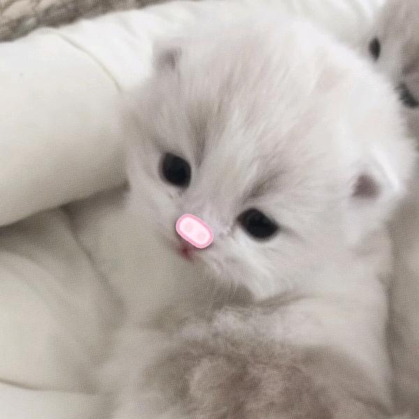 睡觉厉害的很