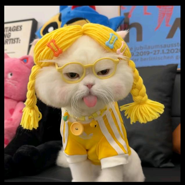 露米娅