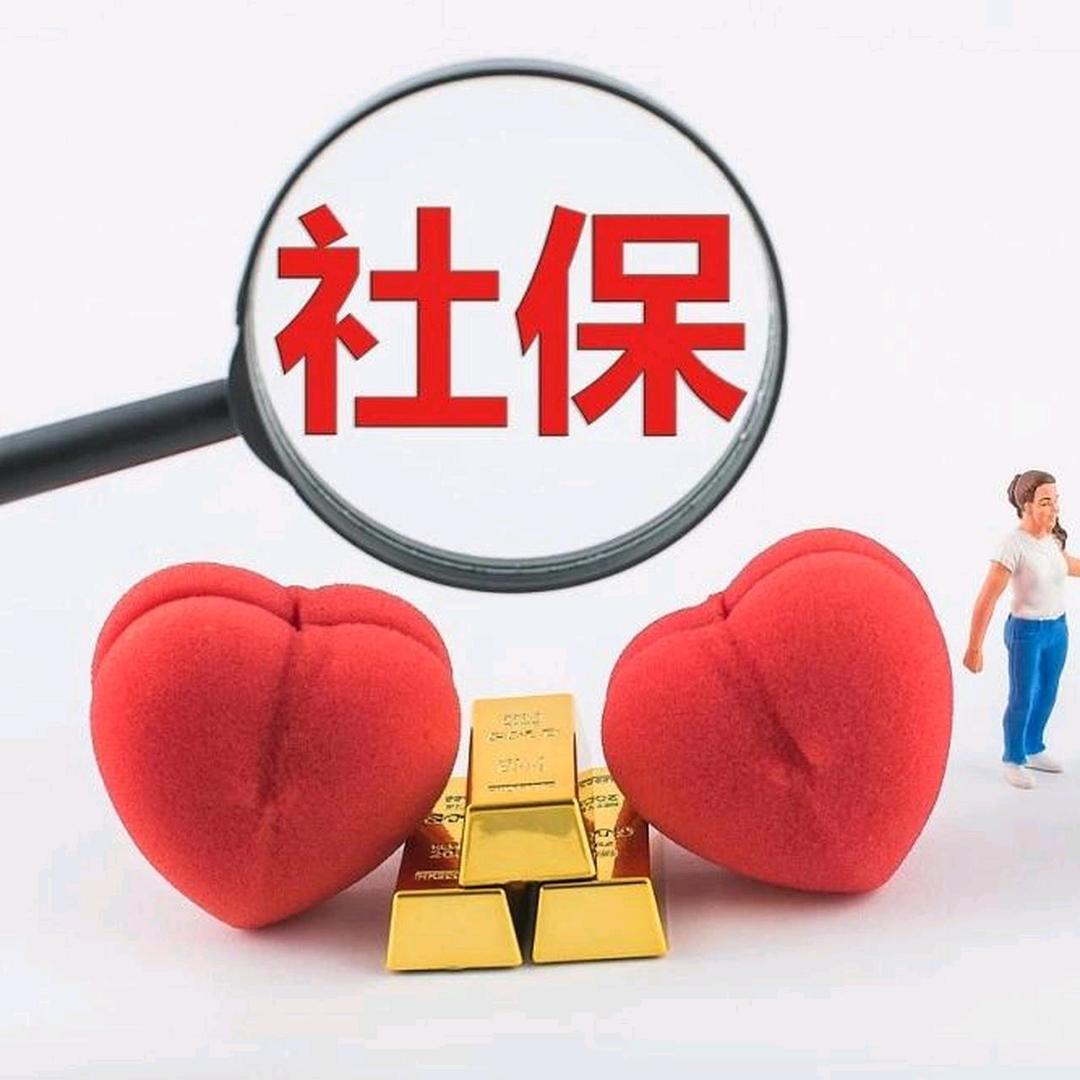 社\bao一点通✍️