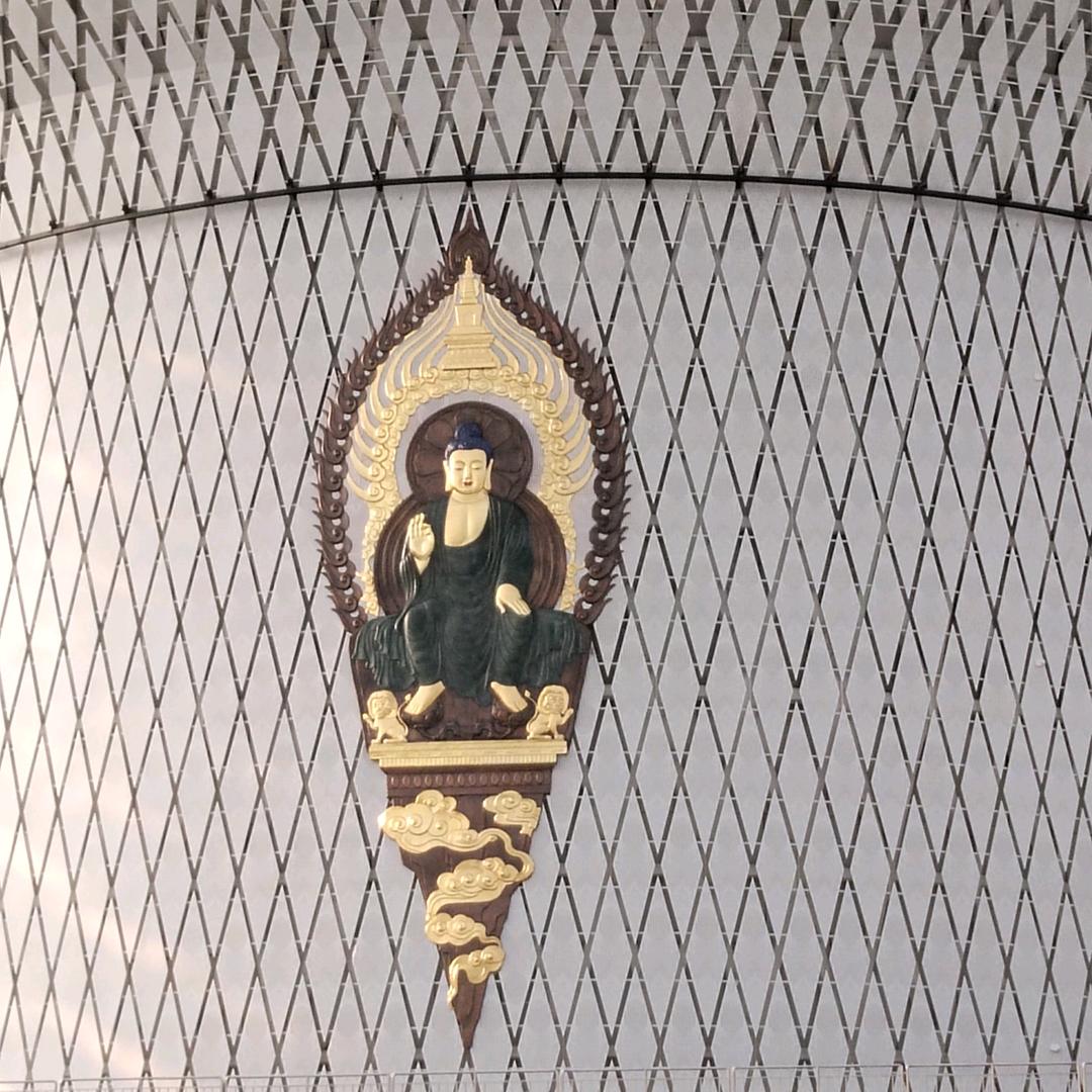 一生随心