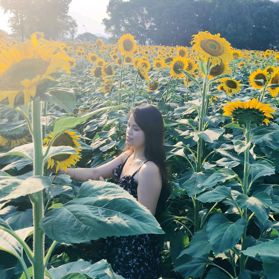 🧚‍♂️小伍姑娘
