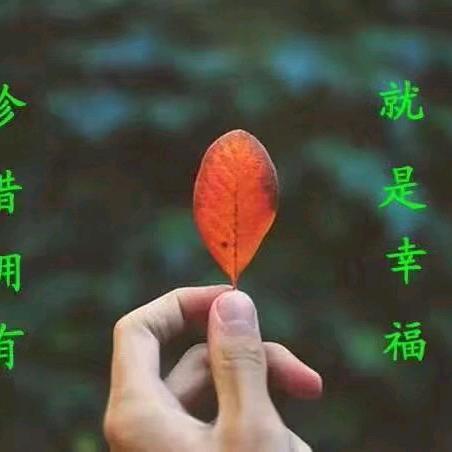 浅浅一笑