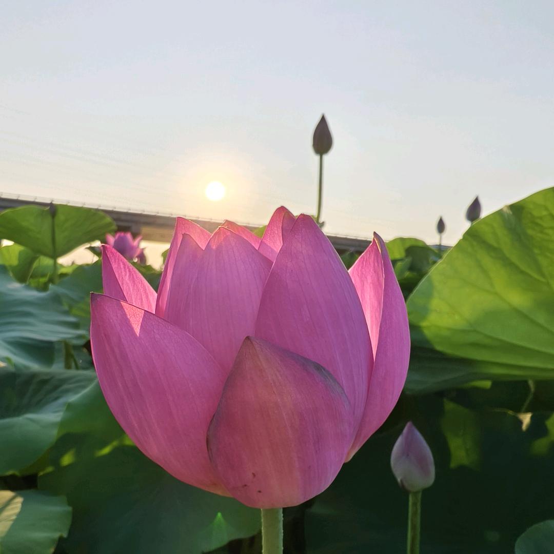 好运常在🌈💕💕