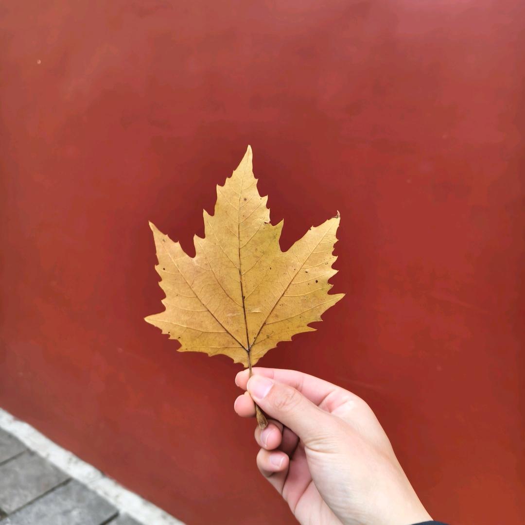 奔向星光