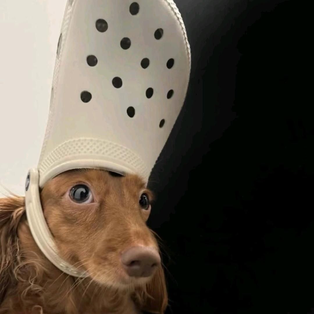Yyy