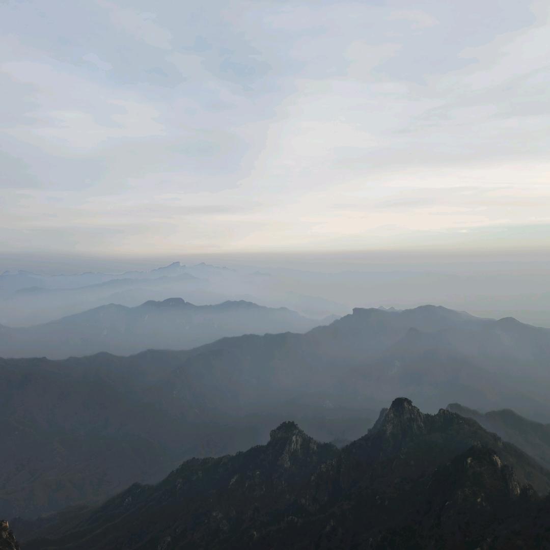 我想要两颗西柚