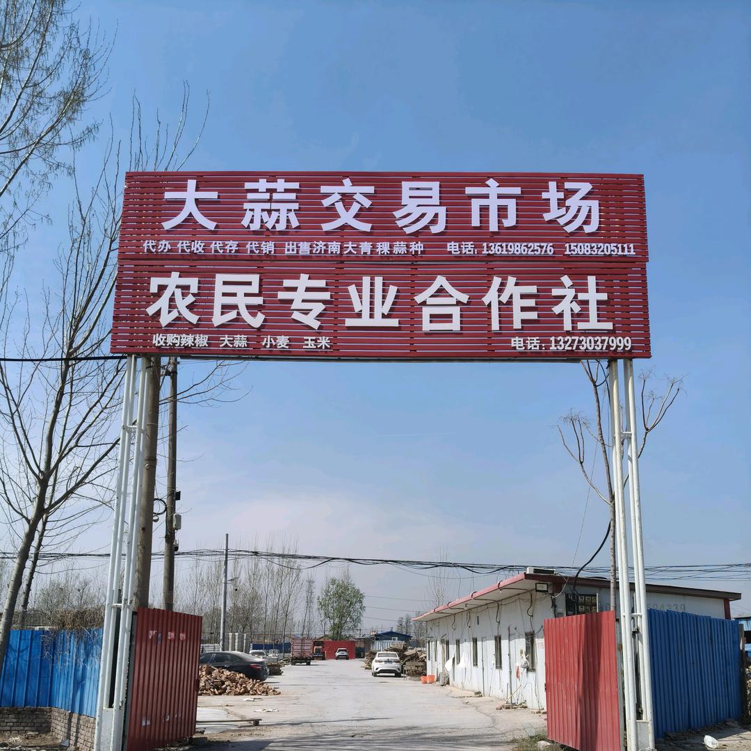 仙庄镇辣椒大蒜收购
