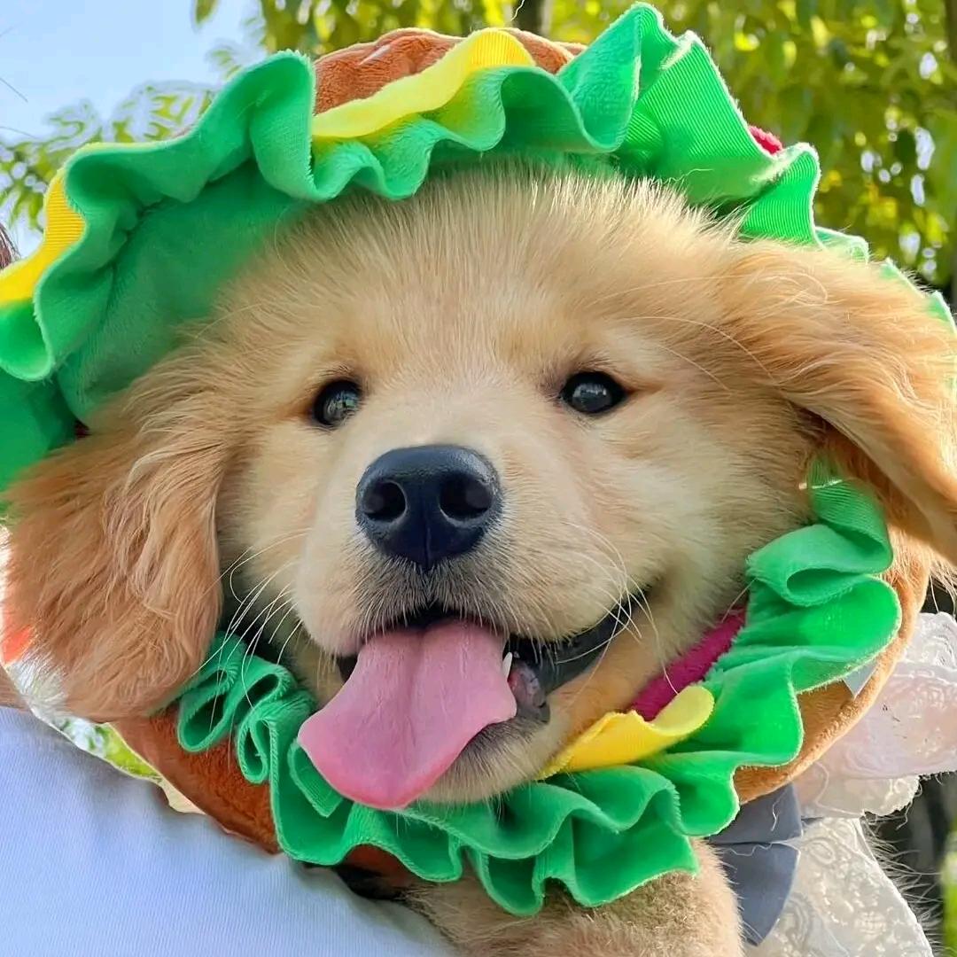 2222