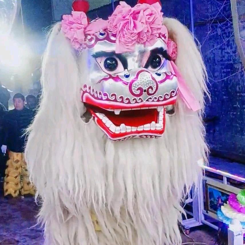 河南濮阳小武专业小白狮醉酒（助理）