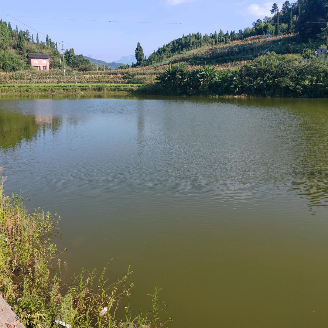 狂钓大混养俱乐部