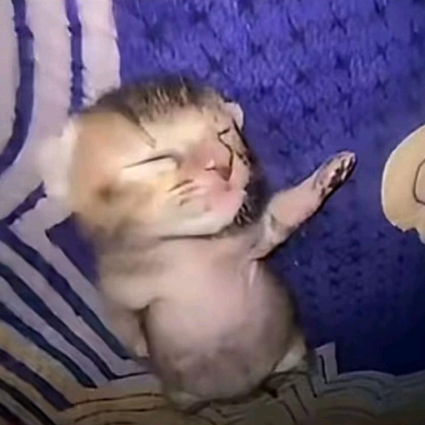 斜刘海遮住我右眼角的泪（红温版）