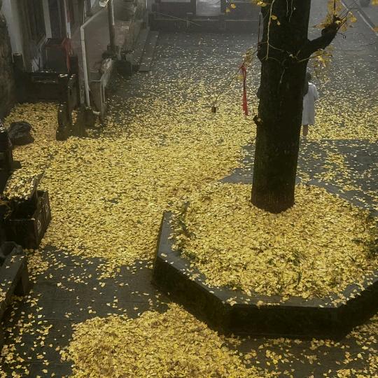 蒽葡优品坊