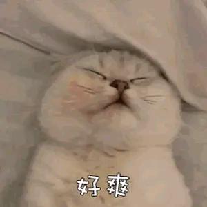 枝风wu