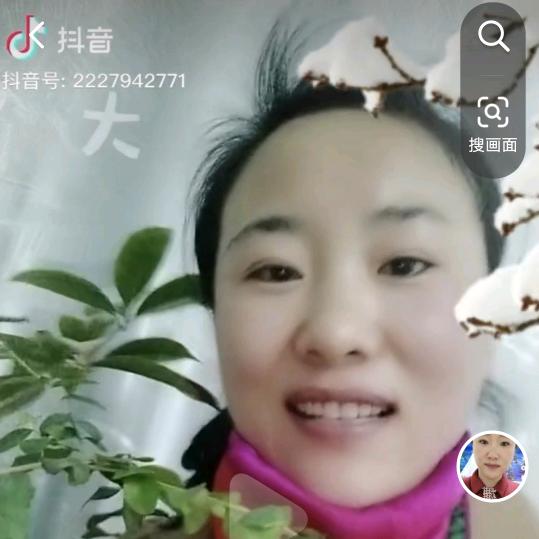宏姐