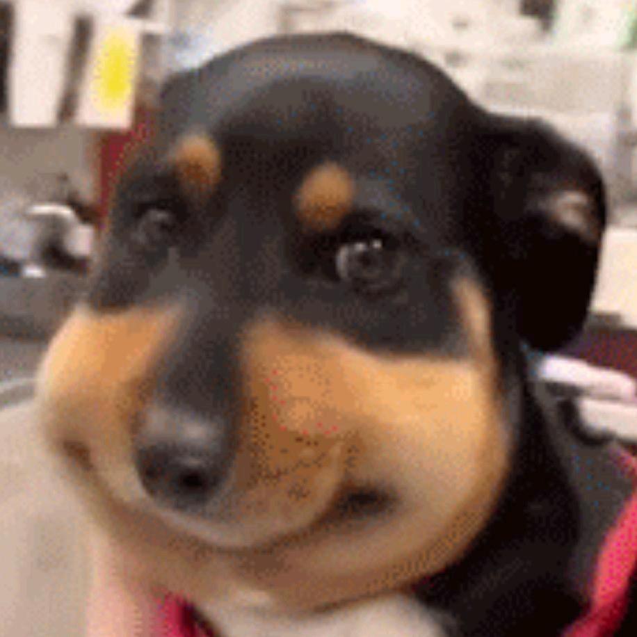 （🍪）