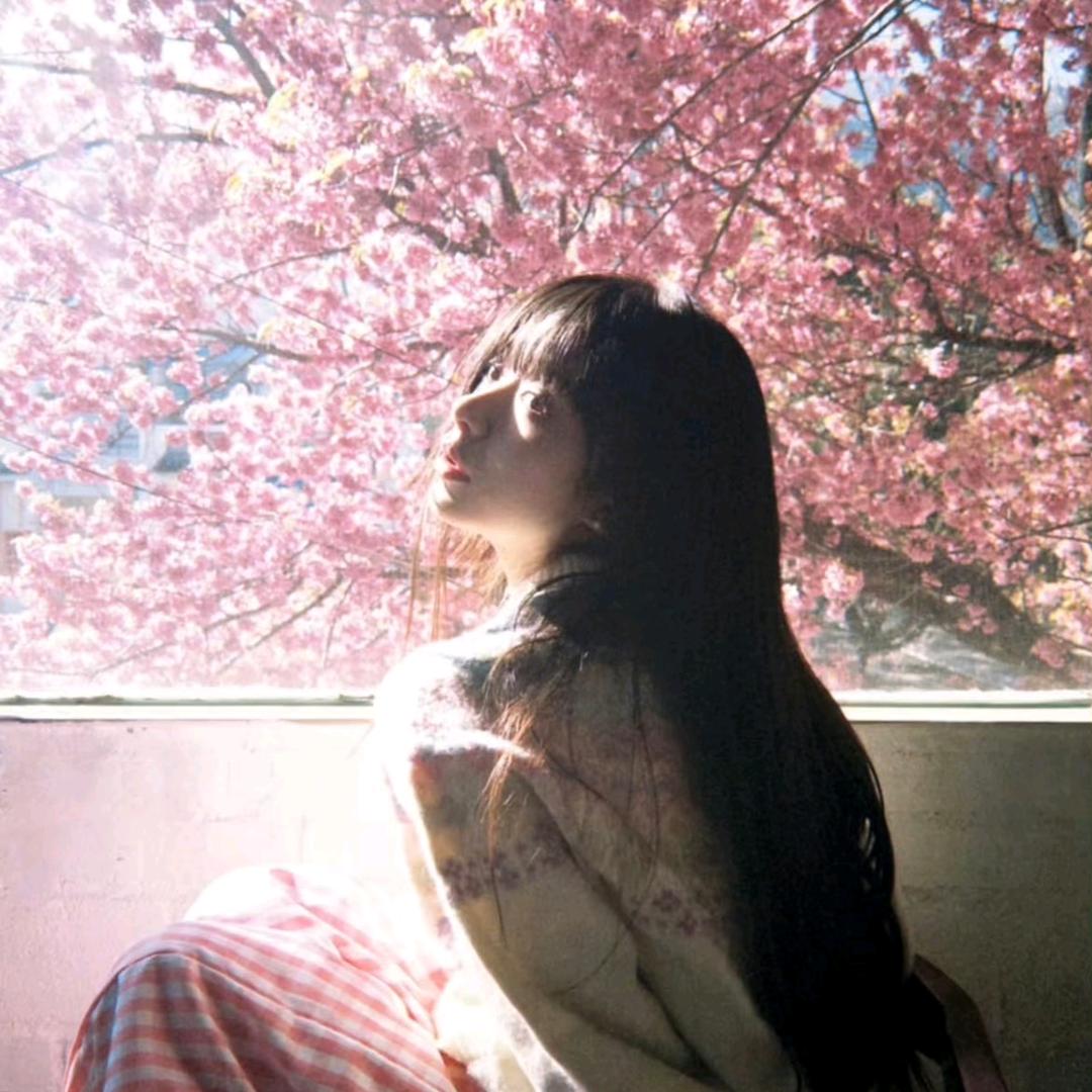 🌸小樱婲呀i